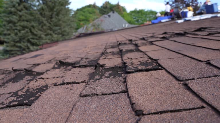 Best Commercial Roofing Services  in Malabar, FL