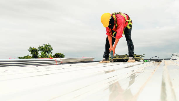 Best Skylight Installation and Repair  in Malabar, FL