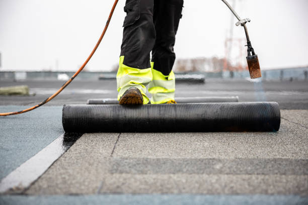 Best Asphalt Shingle Roofing  in Malabar, FL